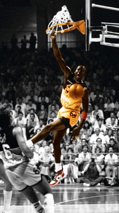 Jordan 1 Low OG Starfish